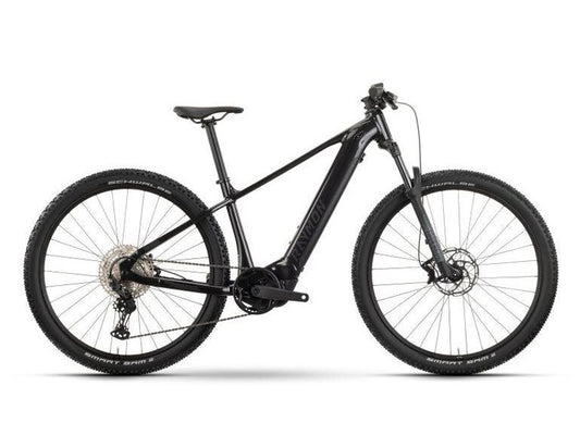 E-Mountainbike